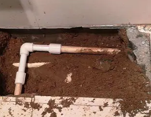 梁平测漏水哪家好