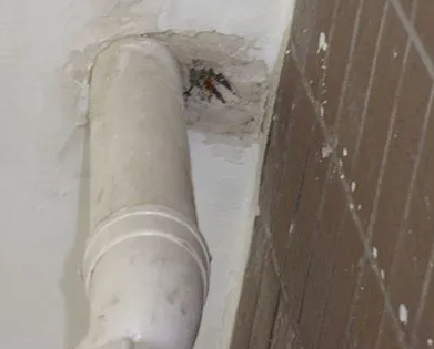 梁平漏水检测哪家好